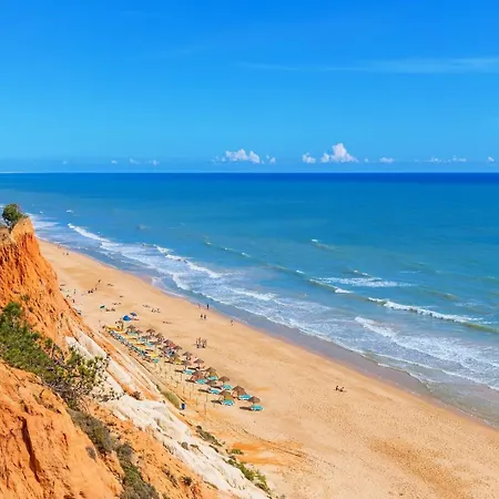 Premium Charming Daire